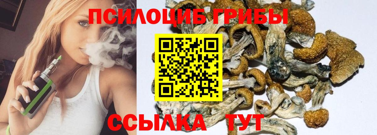 Псилоцибиновые грибы прущие грибы Сочи
