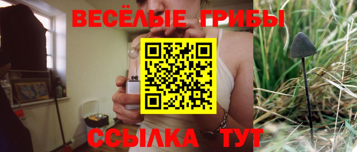 Сочи  Галлюциногенные грибы Cubensis  Вход с VPN  Галлюциногенные грибы MAGIC MUSHROOMS 